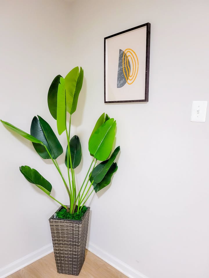 Lower Level planter and wall art