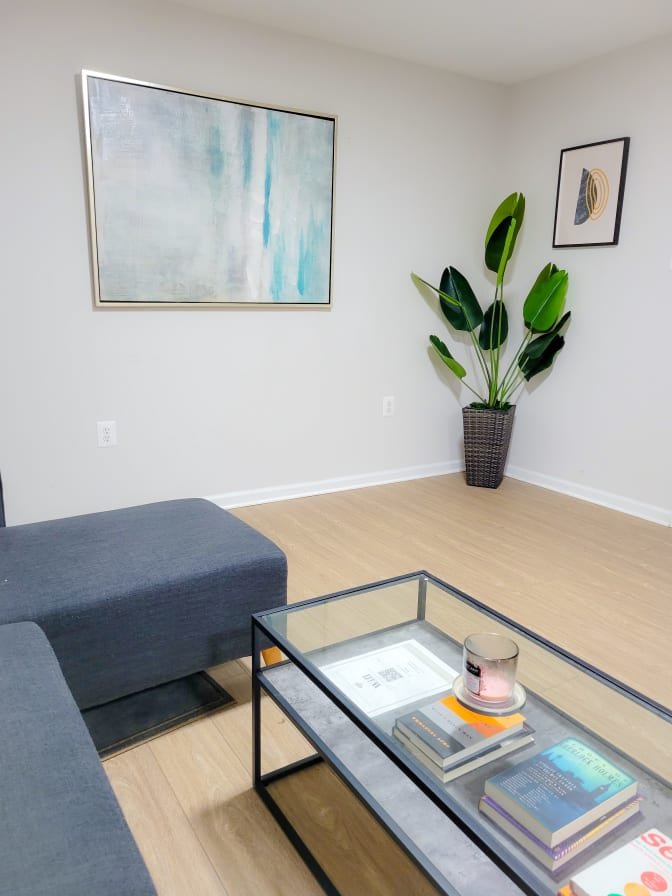 Lower Level sitting area with plants